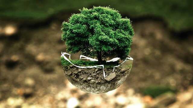 ecologie-environnement