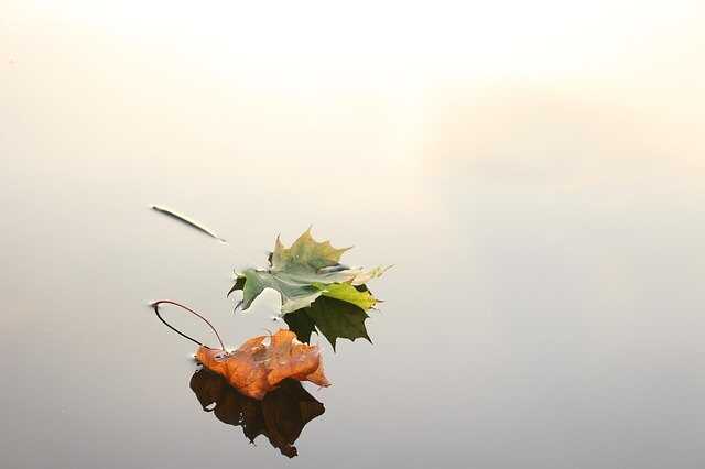 environnement-vie