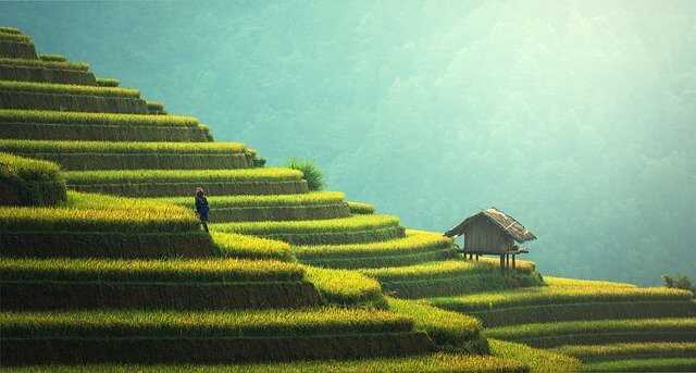 environnement
