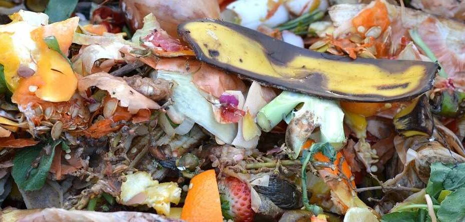 compost-dechets-jardin