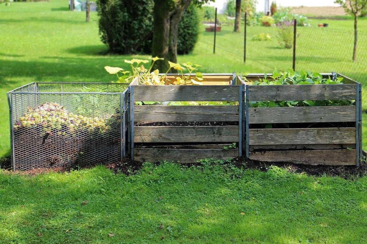 compost-dechets