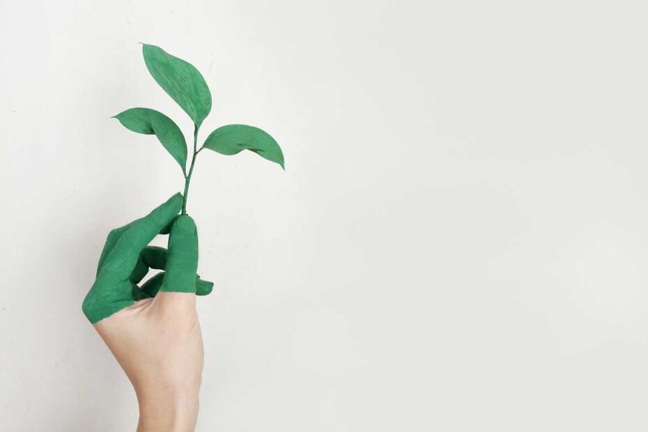 greenwashing-entreprise