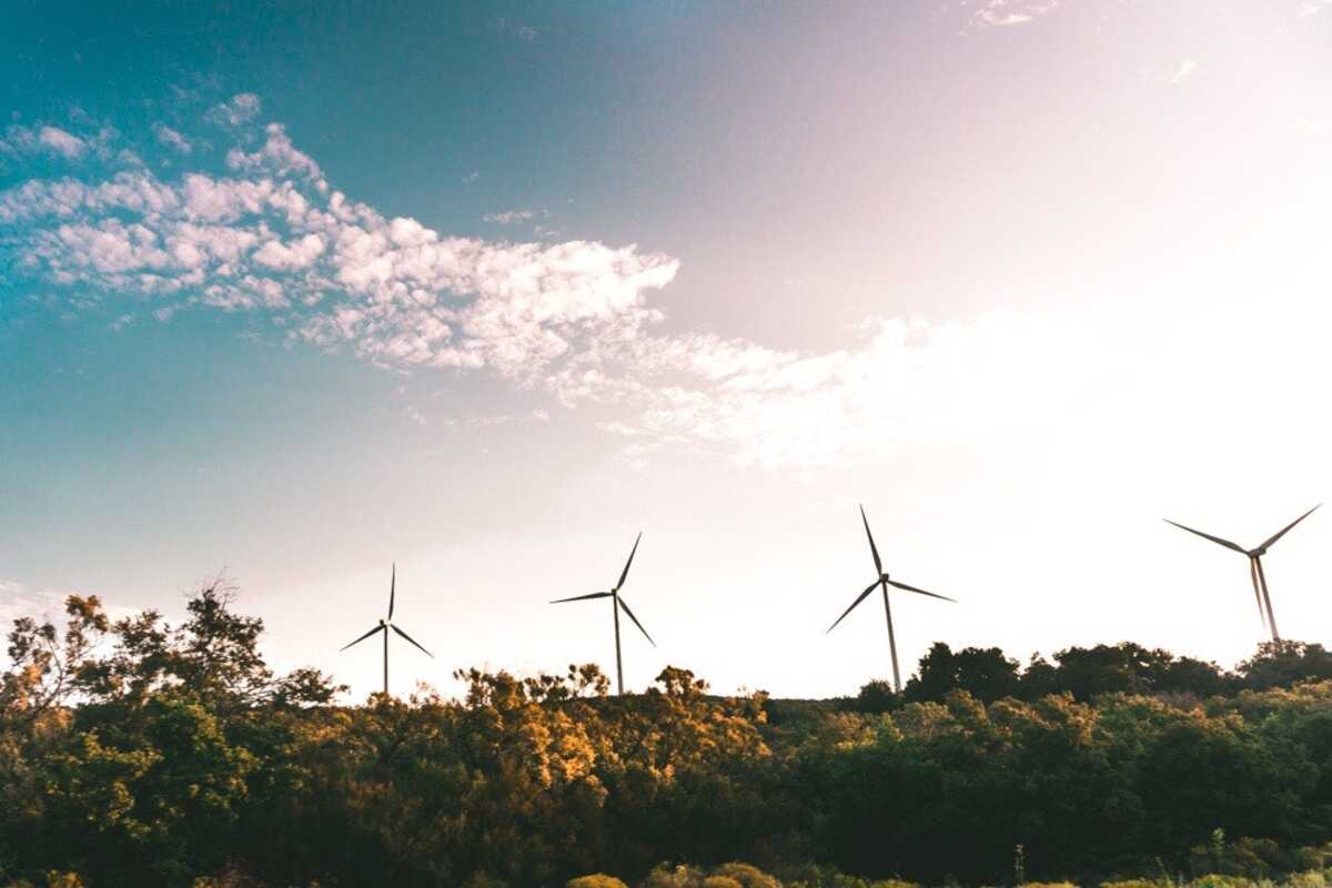 greenwashing-entreprise-environnement
