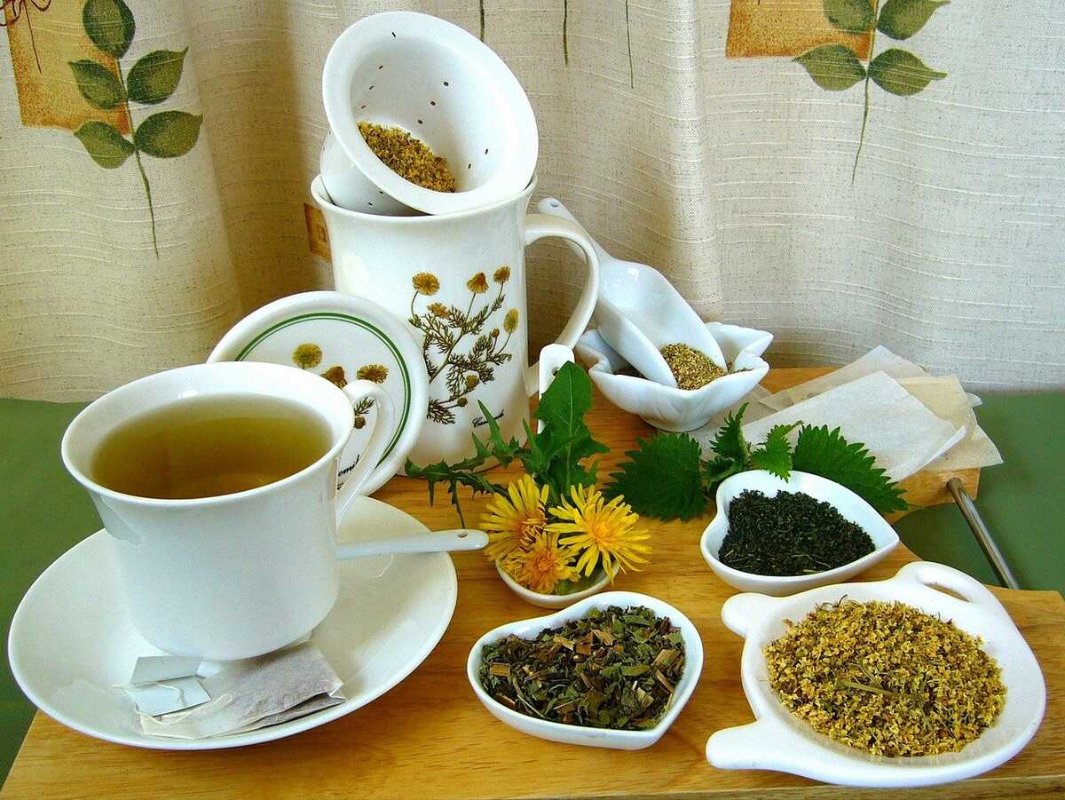 herboristerie-plantes-medicinales