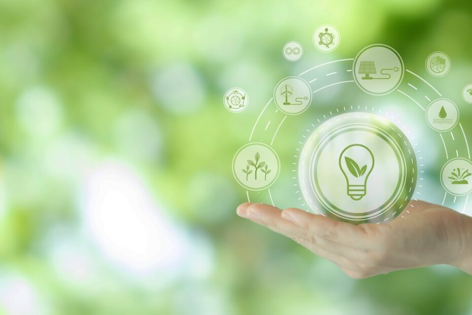 ECOGESTES